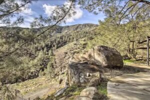 Pinecone Landing Retreat