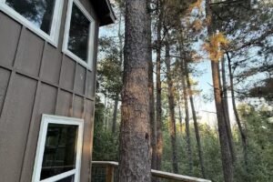 Pines & Pillows Treehouses