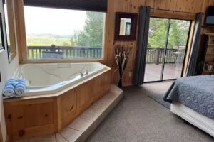 Pinnacle Cabin Rentals