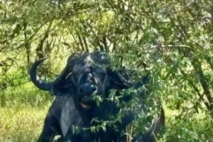 Piper & Heath Travel