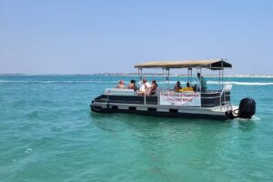 Pirate Fishing and Cruise Boats