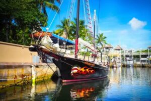 Pirate’s Choice Sunset Cruise and Snorkeling Tours