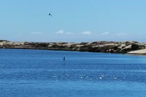 Pismo Beach Vacation Rentals