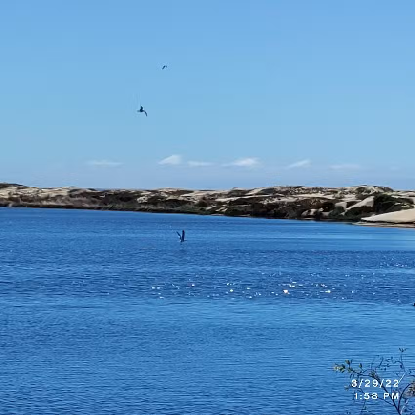 Pismo Beach Vacation Rentals