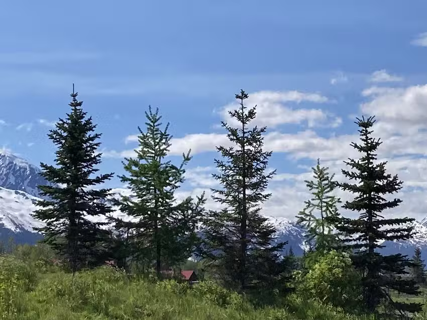 Planet Earth Adventures, LLC