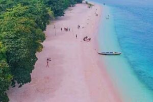 PlatinumDreamz & Travel