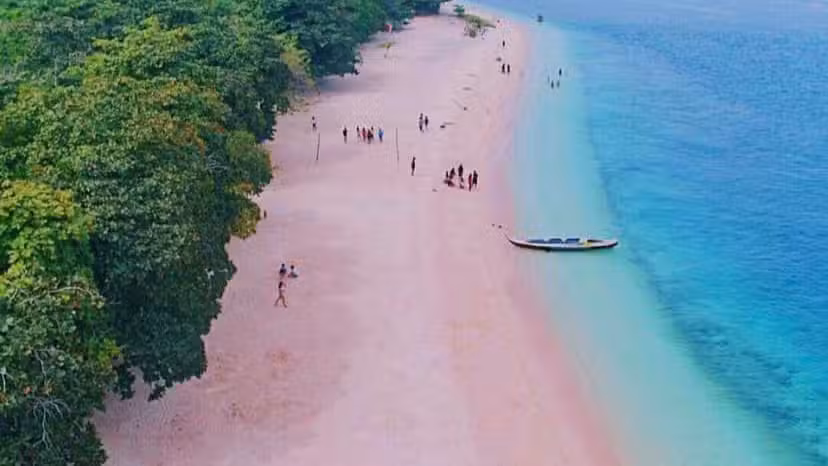 PlatinumDreamz & Travel