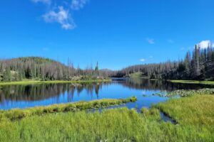 Platoro Valley Lodge & Cabins