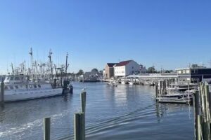 Point Pleasant Parasail