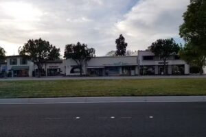 Polo Tours & Travel Corporation