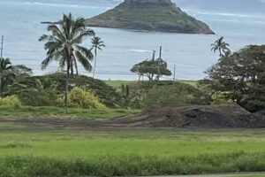 Polynesian Adventure Tours