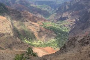 Polynesian Adventure Tours