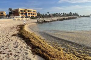 Pomona Travel Agency