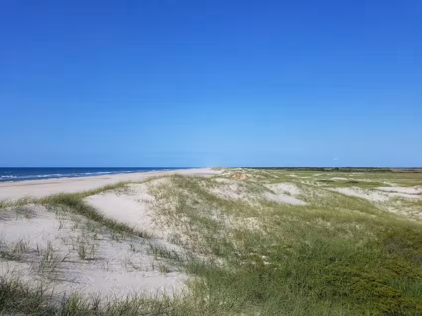 Portsmouth Island Adventures