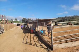 Poway Equestrian Center