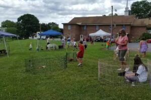 Precious Valley Farms