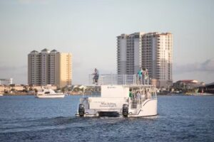 Premier Dolphin Cruise