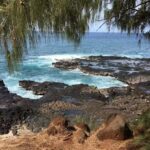 Premier Travel Services