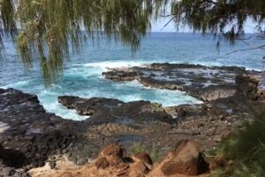 Premier Travel Services