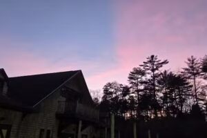 Preserve Equestrian Training Stables