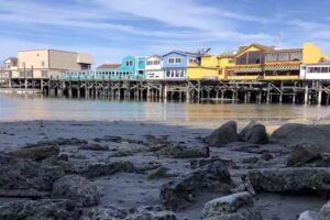 Princess Monterey Whale Watching