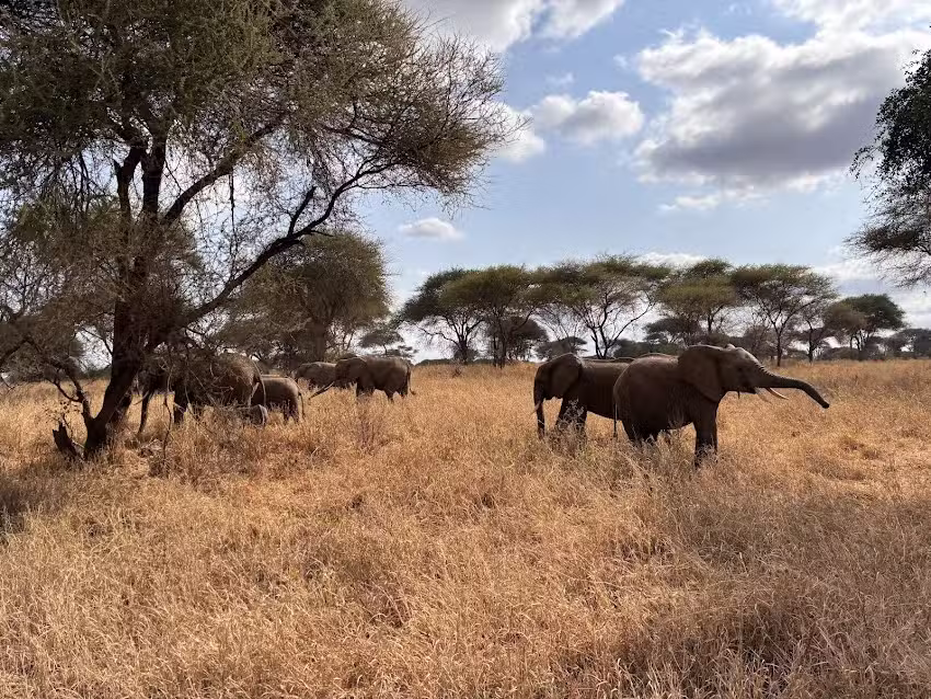 Pristine Trails Adventures