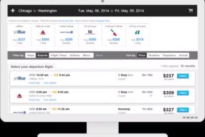 Professional Travel Service