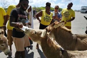 Promise Travel Tours, LLC