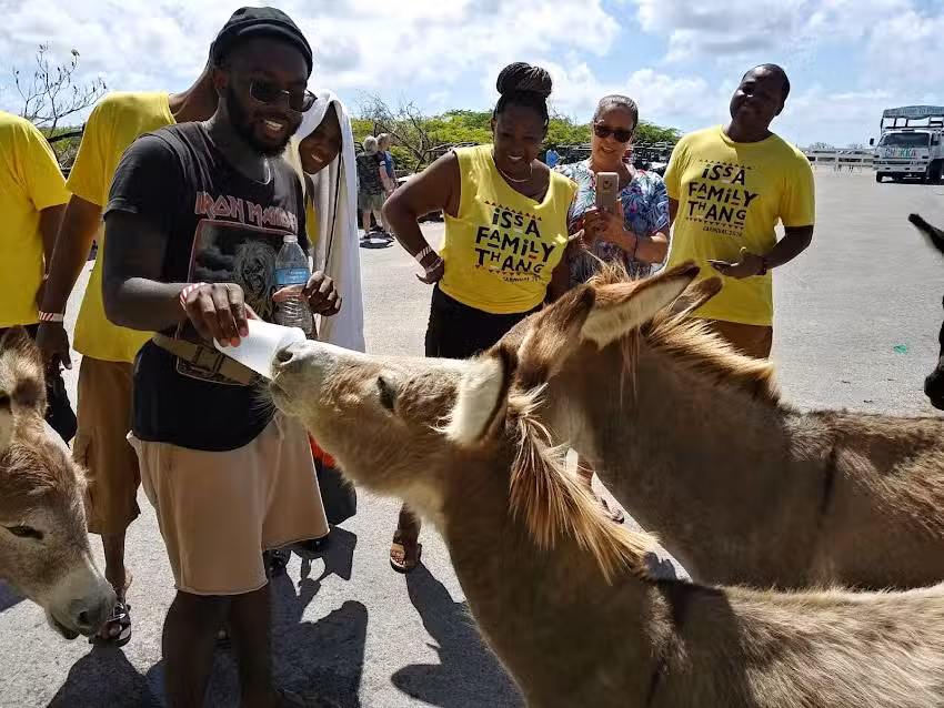 Promise Travel Tours, LLC