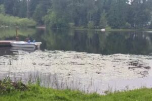 PROtravel & All Inclusive Vacations