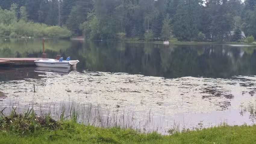 PROtravel & All Inclusive Vacations