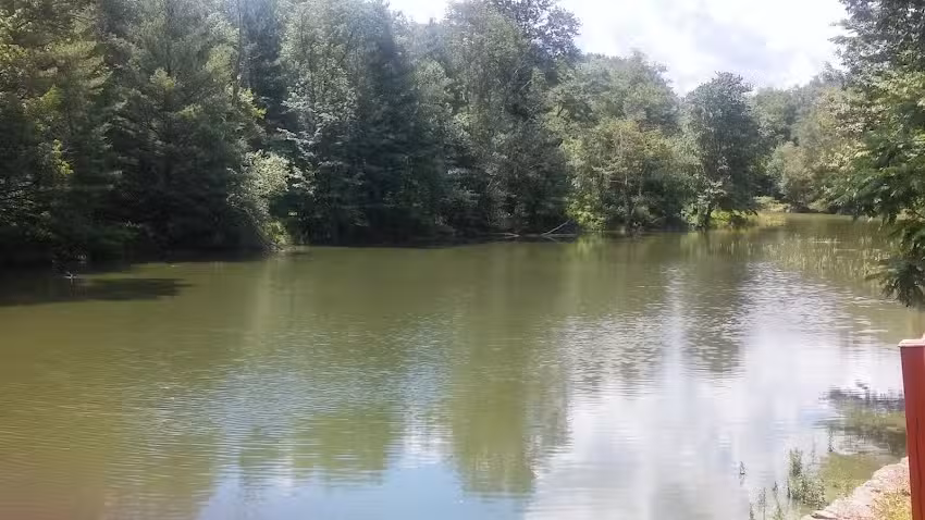 PuraVida Vacation Rentals