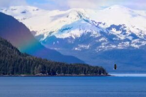 Pure Bliss Travel, Inc.