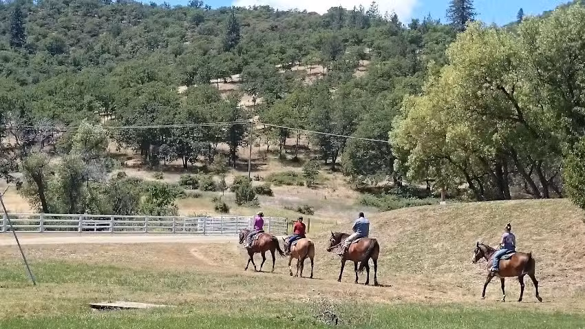 R-Ranch Stables (Hornbrook)