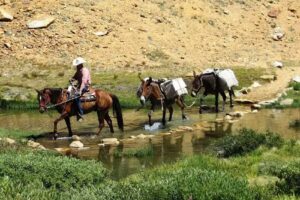 Rainbow Pack Outfitters