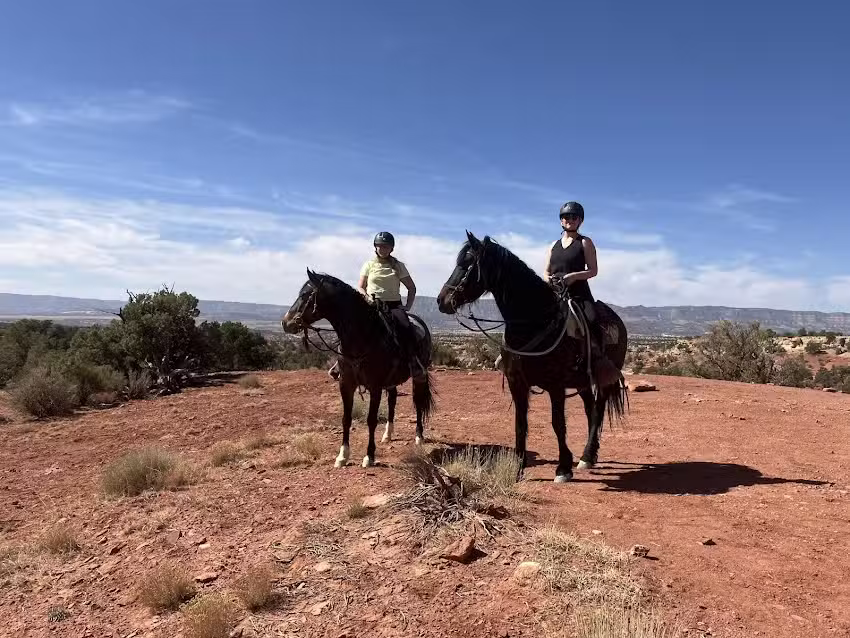 Ranch Dog Pack Station