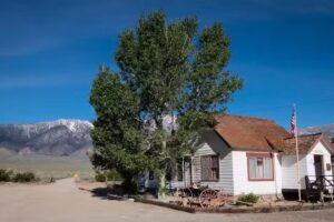Ranch Motel & Cabins