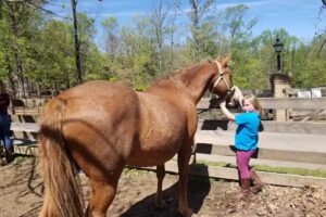 Raynor’s Hilltop Farm