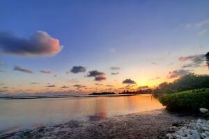 Ready Set Go Tour & Travel