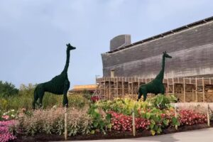 Recreation Adventure Tours