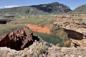 Red Canyon River Trips And Wild Mustang Tours