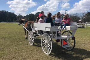 Red Gate Farms &ndash; Equestrian Center