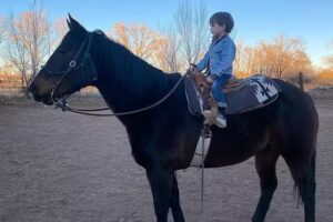 Red Horse Riding Company