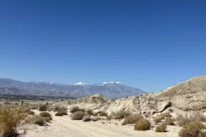 Red Jeep Tours | Desert Adventures