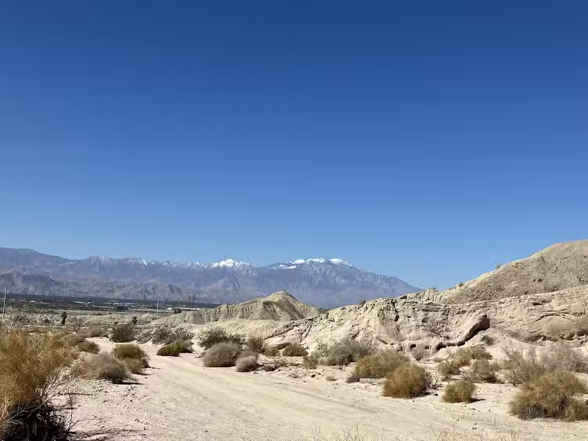 Red Jeep Tours | Desert Adventures