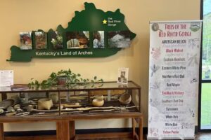 Red River Gorge Visitor Center at Slade