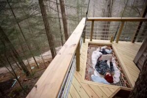 Red River Gorgeous Wilderness Treehouse & Cabin Rental