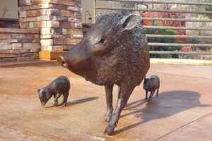 Red Rock Ranger District Visitor Center