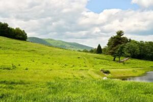 Red Shed Cottage Rental