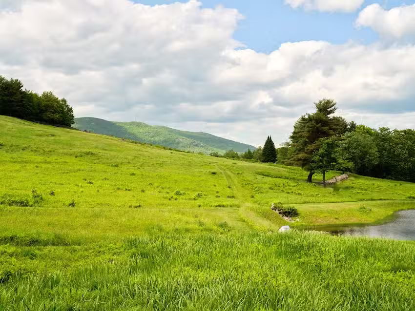 Red Shed Cottage Rental